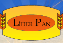 Imagine Logo LiderPan - partener Real T.D.C.