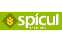 Imagine Logo Spicul SA - partener Real T.D.C.