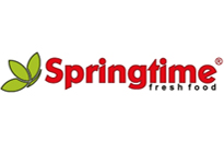 Imagine Logo Springtime - partener Real T.D.C.